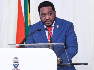 Zulu King calls for peace ahead of polls