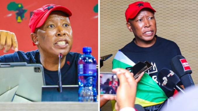 Julius-malema