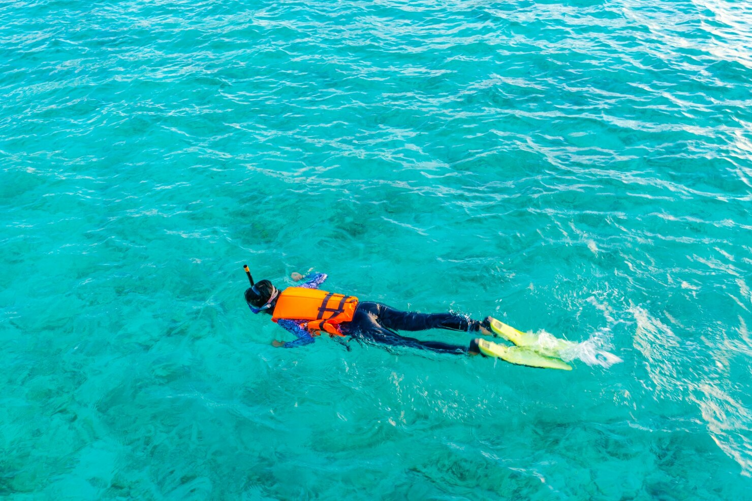 Snorkeling in durban
