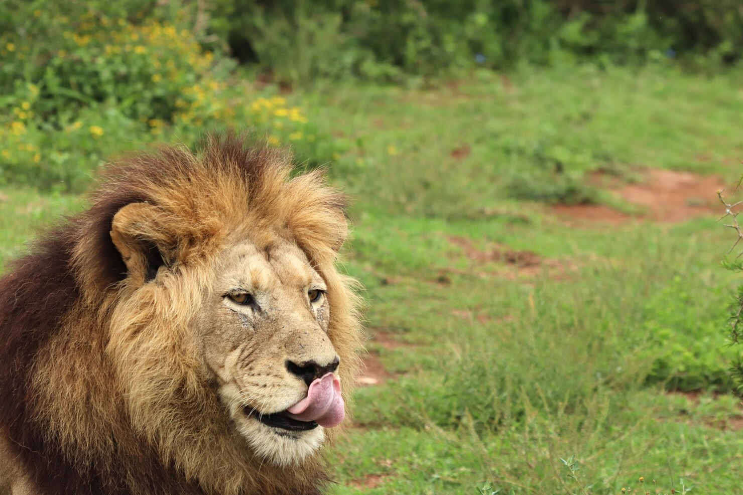 Mitchell Park Zoo