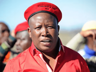 EFF leader Julius Malema