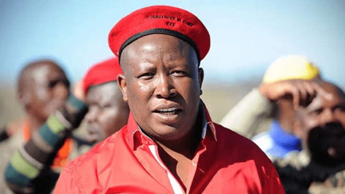 EFF leader Julius Malema