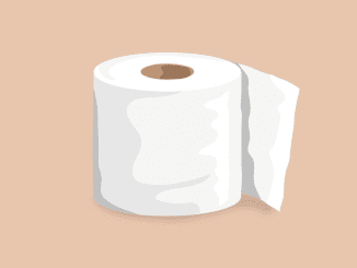 school can’t afford toilet paper for its pupils