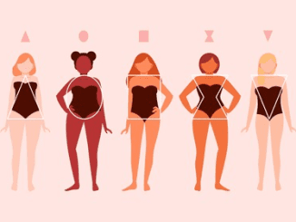 Different Body Shapes