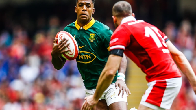 Springboks confirm end of year Test fixtures