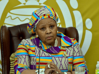 Mapisa-nqakula's Request for Legal Aid is Denied by the SANDF.