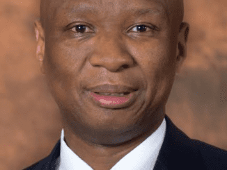 Zizi Kodwa